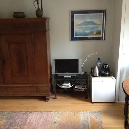 Vondelparkmuseum Bed & Breakfast Amsterdam